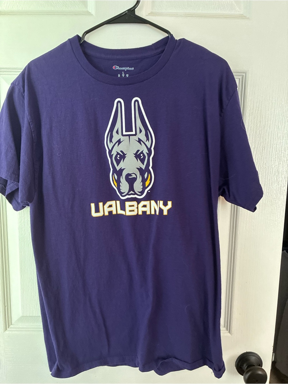Champion UAlbany Great Danes T-Shirt Size L Purple College Graphic Tee